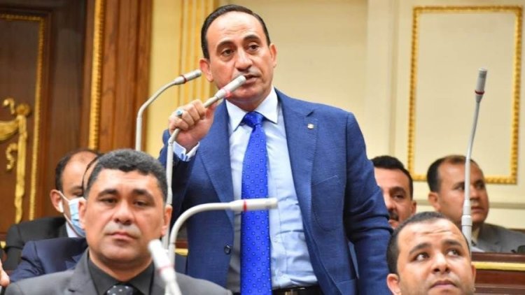 برلماني: «لا غنى عن التحول الرقمي.. ومكاتب البريد تلعب دور محوري»