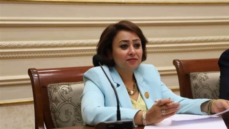 «برلمانية» تكشف تفاصيل جديدة عن الحوار الوطني المزمع انطلاقه في «3» مايو