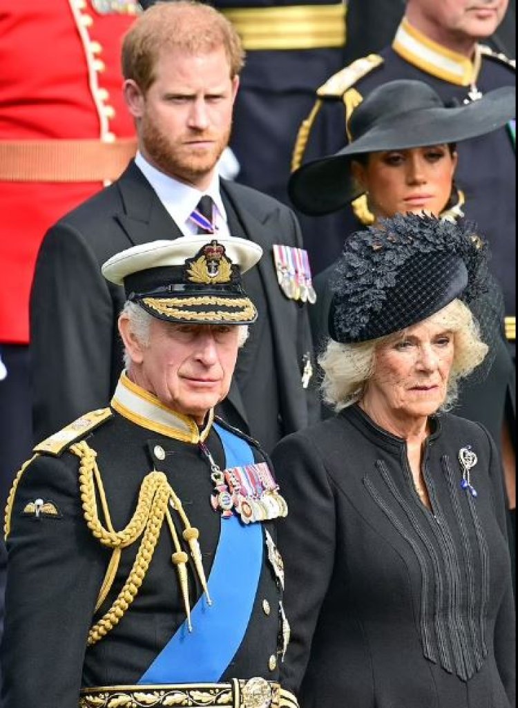 الملك تشارلز وكاميلا يحتفلان بتتويجهما في شرفة قصر باكنجهام.. دون هاري وميجان