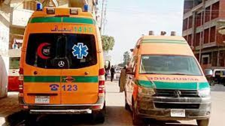 تناولوا مبيد حشري.. إصابة 3 أطفال أشقاء بحالة تسمم في قنا (أسماء)