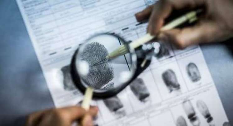 القبض على شخص بتهمة التزوير في محررات رسمية بالجيزة