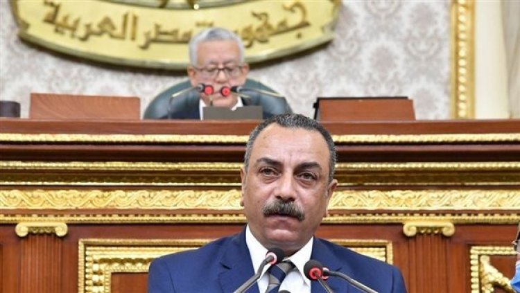 وكيل تشريعية النواب: حالات اكتساب الجنسية المصرية بشراء عقار موجودة بالقانون القائم