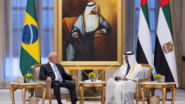 رئيسا الإمارات والبرازيل يبحثان العلاقات الثنائية والتطورات الإقليمية والدولية