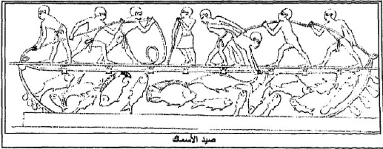 خبير أثري يكشف أسرار حفظ الأسماك المملحة في عهد المصريين القدماء