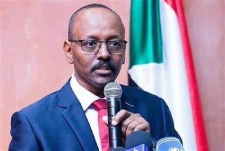 متحدث قوى الحرية بالسودان: «الأزمة الحالية ببلادي ربما تؤدي إلى حروب أهلية»