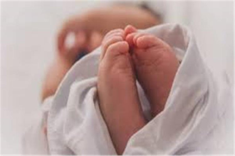 «عمره 3 أيام».. العثور على طفل حديث الولادة بجوار كمين في قنا