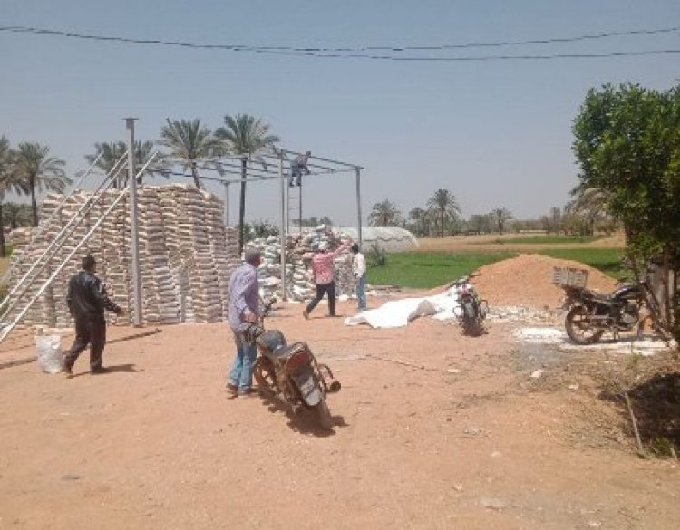 إزالة التعديات المخالفة على الأرض الزراعية بالشرقية