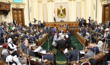 برلمانية: أحد الأندية وضع مادة سامة لقتل الكلاب والقطط مما عرض الأطفال للتسمم
