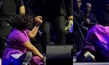 «حسام حبيب وزينة».. تفاصيل ليلة شيرين عقب سقوطها على المسرح