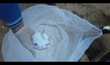 «الداخلية» تضبط عصابة تتاجر بالمخدرات فى ناهيا