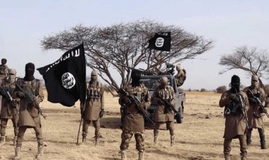 تركيا تكشف تفاصيل مقتل زعيم تنظيم داعش في سوريا