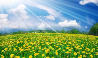 ميعاد انتهاء فصل الربيع 2023