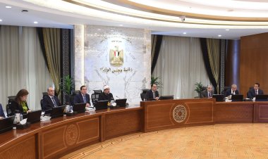مجلس الوزراء: 5500 جنيه سعر الضمان لتوريد قنطار القطن طويل التيلة