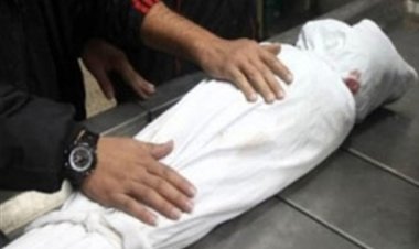 مصرع طفل في حادث تصادم بالدقهلية