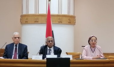 الأعلى للثقافة يحتفى بالدكتور محمود نحلة