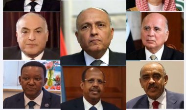 «شكري» يجري اتصالات هاتفية مع وزراء 7 دول
