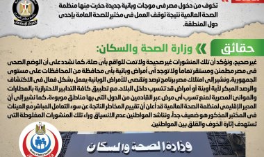 شائعة: تداول منشورات على وسائل التواصل الاجتماعي يستدل منها على تخوف من دخول مصر