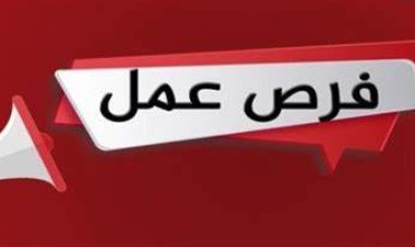 وظائف وزارة الكهرباء 2024.. الشروط وطريقة التقديم