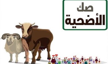 أسعار صك الأضحية للحوم السودانية والبلدي من وزارة الأوقاف