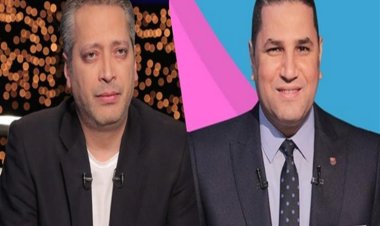 حجز دعوى التعويض المقامة من عبد الناصر زيدان ضد تامر أمين بتهمة إهانة الصعيد