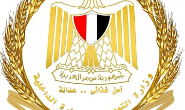 وزير التموين يتابع توريد القمح المحلي