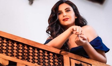 دانا حمدان: كسرت بلكونتي لإنقاذ قط