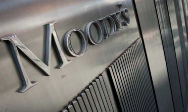 خبير اقتصادي: «التصنيف الائتماني العالمي توقع إفلاس مصر ولم يحدث»