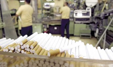 شعبة الدخان تكشف موعد رفع أسعار السجائر: «الشرقية ستوقف إنتاجها بعد 3 أشهر»