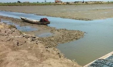 محافظ بورسعيد : تنفيذ 13 حالة إزالة لمزارع سمكية مخالفة بجمعية العبور الزراعية