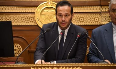 النائب محمد حلاوة: الدولة المصرية أثبتت قدرتها على التعامل مع كافة التحديات