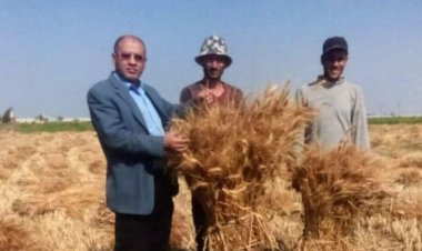 القصير يوجه قيادات الوزارة بالانتشار في المحافظات لمتابعة حصاد وتوريد القمح