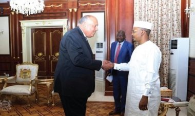 شكري يلتقي الرئيس التشادي محمد إدريس للوقوف على آخر التطورات في السودان
