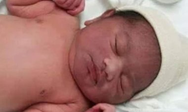 أخصائي تمريض: «لا ترحل بطفلك حديث الولادة من المستشفى في تلك الحالة»