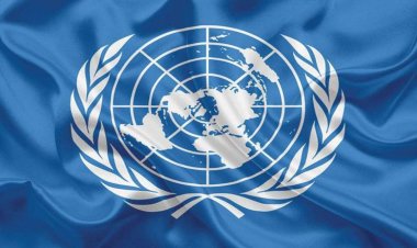 ممثلة الأمم المتحدة: مصر نموذجا مشرفا لـ«مواجهة العنف ضد المرأة»