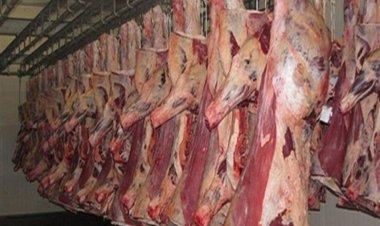 سعر الكيلو وصل لـ 400 جنيهًا..  وشعبة القصابين: متوقع زيادة جديدة ونناشد الدولة بالتدخل (خاص)