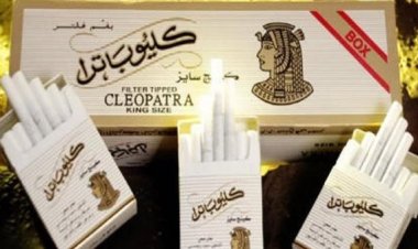 رئيس شعبة الدخان يوضح حقيقة وقف إنتاج سجائر البوكس (خاص)