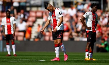 ساوثهامبتون يغادر الدوري الإنجليزي