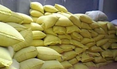ضبط 59 طن أعلاف مجهولة المصدر داخل 4 شركات بكفر الشيخ