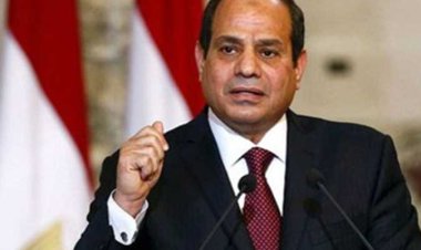 الرئيس السيسي: الدولة تهتم بالتصنيع الزراعى وفق أحدث الأبحاث لتلبية احتياجات السوق