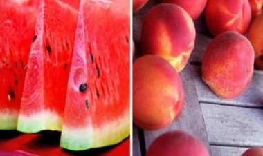 مستشار وزير الزراعة يكشف حقيقة وجود مبيدات سامة بالبطيخ والخوخ