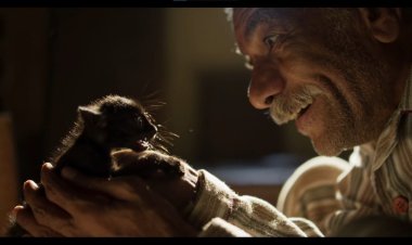 إطلاق الإعلان الرسمي لفيلم «19 ب» استعدادًا لطرحه بالسينمات