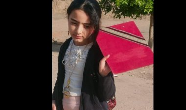 « مَقلَمِة بنتي رجعت وهي لأ».. محامية تستغيث بالمسؤلين بعد اختطاف ابنتها من داخل المدرسة