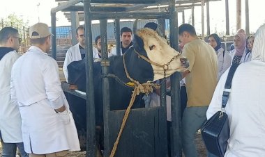 رئيس جامعة كفرالشيخ يستقبل فريق الهيئة القومية لضمان جودة التعليم والاعتماد