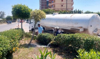 زراعة «175 ألف شجرة مثمرة» بالميادين والمدارس ومراكز الشباب في كفر الشيخ