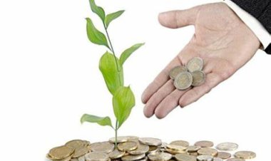 كل ما تريد معرفته بشأن تمويل المشروعات الصغيرة والمتوسطة ومتناهية الصغر