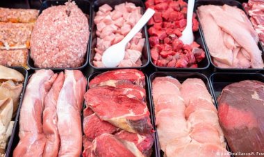 سعر كيلو اللحمة في الأسواق