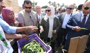 وزيرة التضامن تزور قرية الشيخ مسعود وتتفقد الحقول الإرشادية والصوب الزراعية بالمنيا