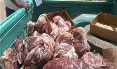 ضبط 225 كيلو لحوم فاسدة داخل مصنع بدون ترخيص بالقطامية