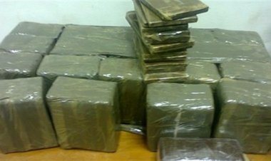 العثور على طن «هيدرو و70 كيلو حشيش» داخل مزرعة بجنوب سيناء