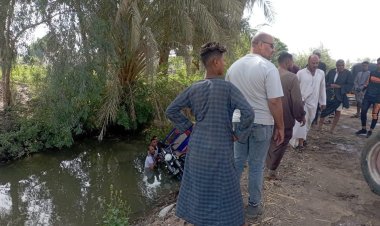 انقلاب تروسيكل محمل ماشية داخل ترعة ونجاة سائقه في قنا (صورة)